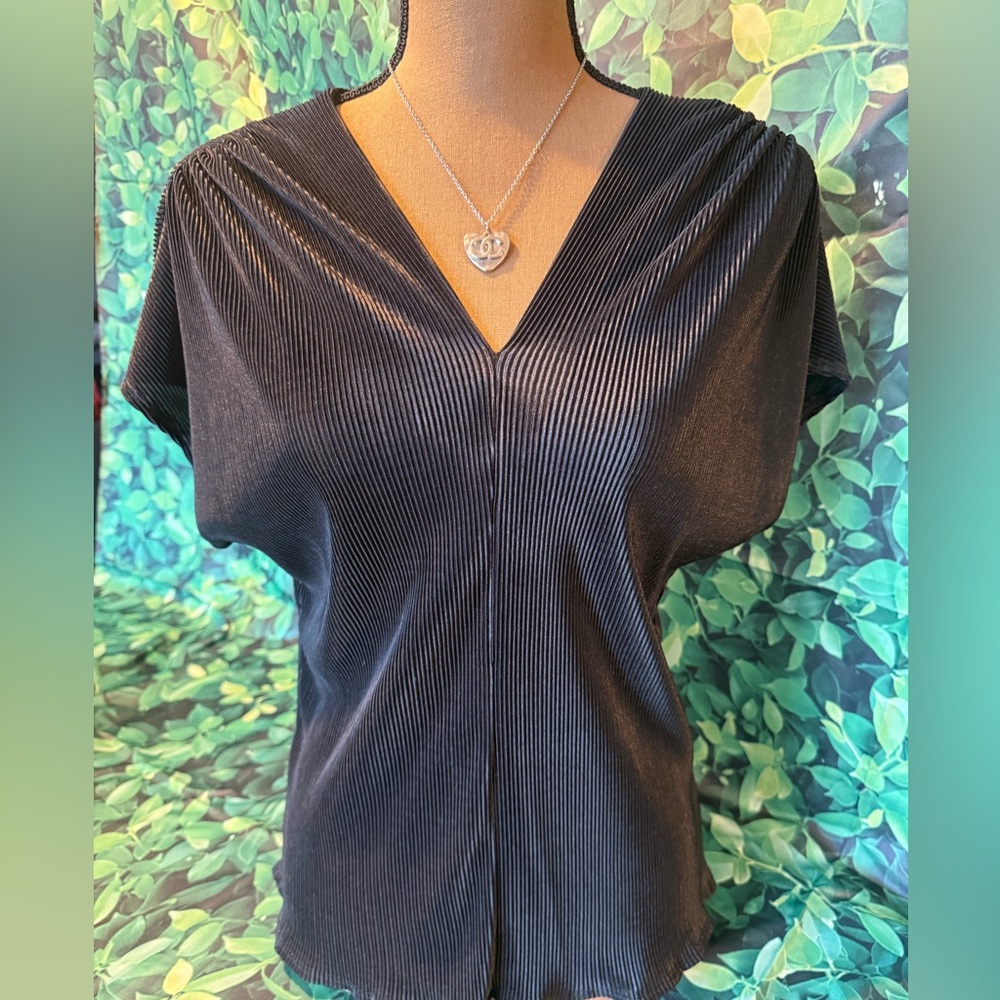 CLEARANCE NWOT ReneeC Plisse V Neck Top